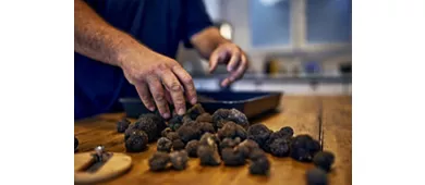 Agriturismo La Cerca Azienda Agricola