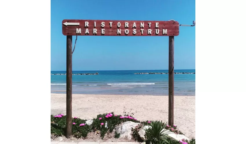 Lido Mare Nostrum