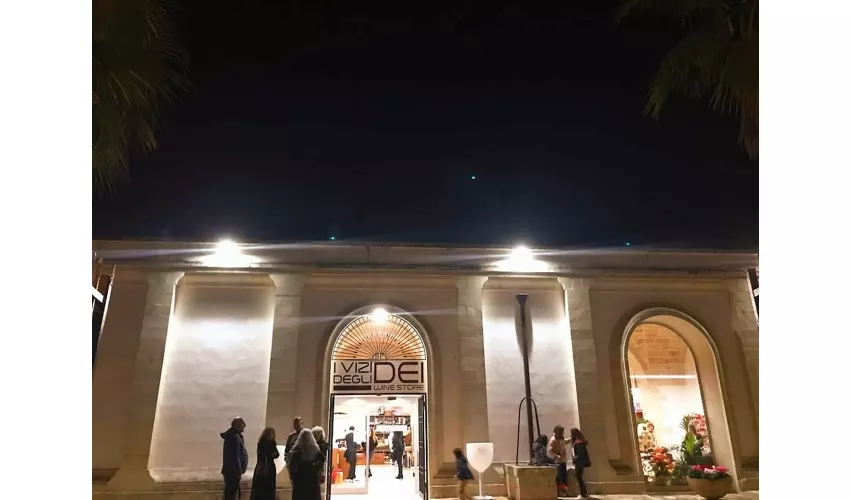 I Vizi degli Dei