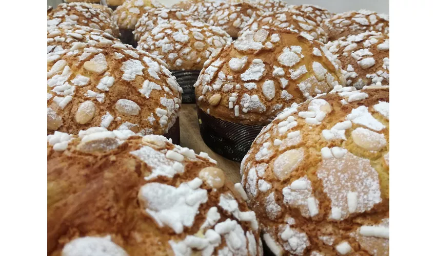 Pasticceria Cioccolateria Coggiola