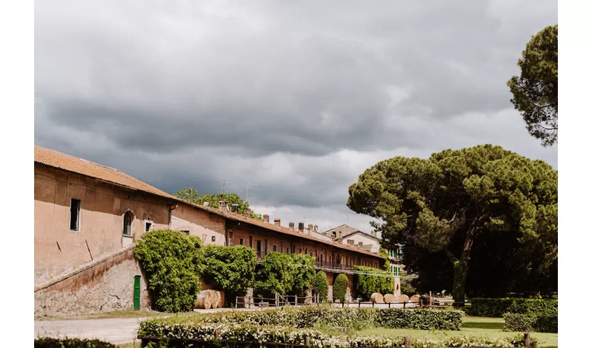 Tenuta Pantano Borghese