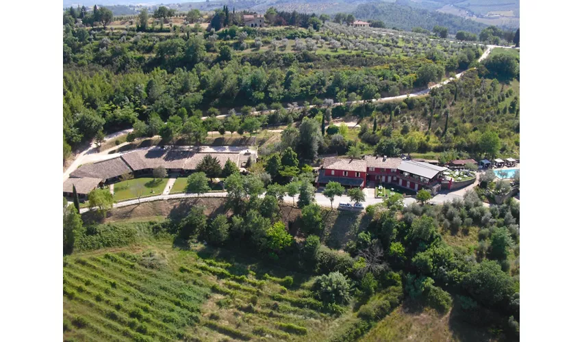 Agriturismo Il Poggio Dei Pettirossi