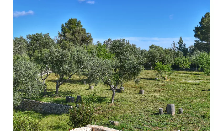 Trulli Magda