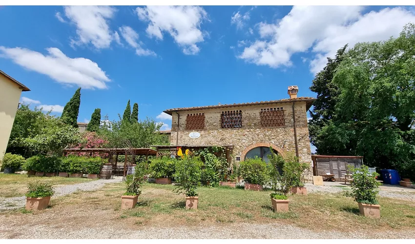 Osteria Il Gallo Giallo