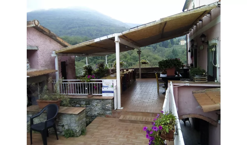 Agriturismo Locanda del Papa