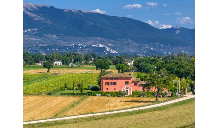 Casale Morotti