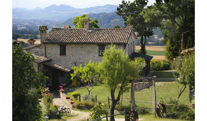 Agriturismo Biologico Pieve del Colle