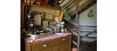 Agriturismo Biologico Pieve del Colle