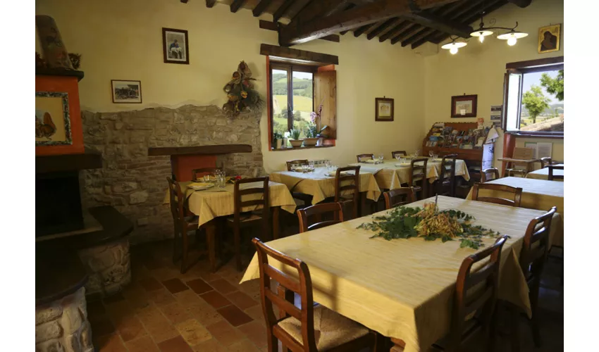 Agriturismo Biologico Pieve del Colle