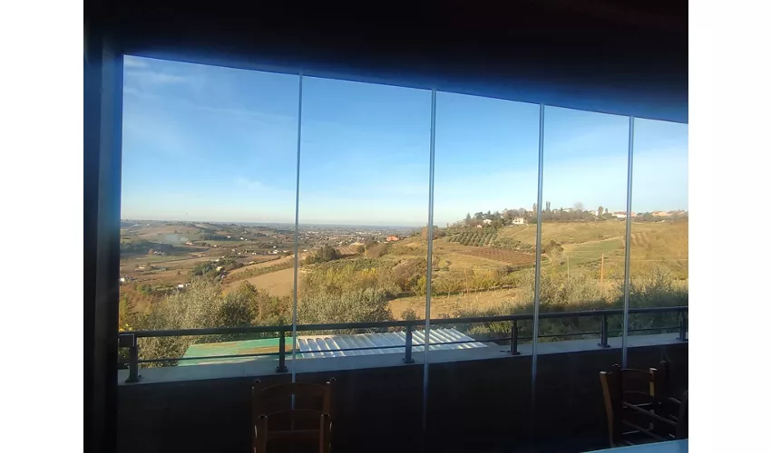 Agriturismo Apollinare
