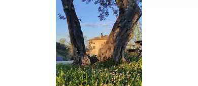 Le Mignole Bio Agriturismo