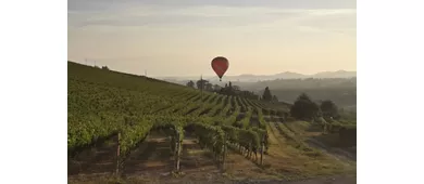 Cascina Perfumo