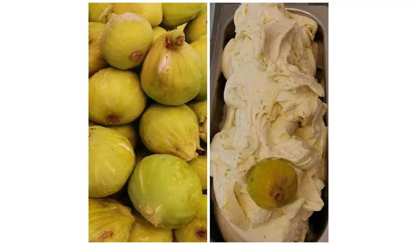 Gelateria Balbi