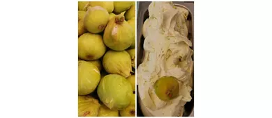 Gelateria Balbi