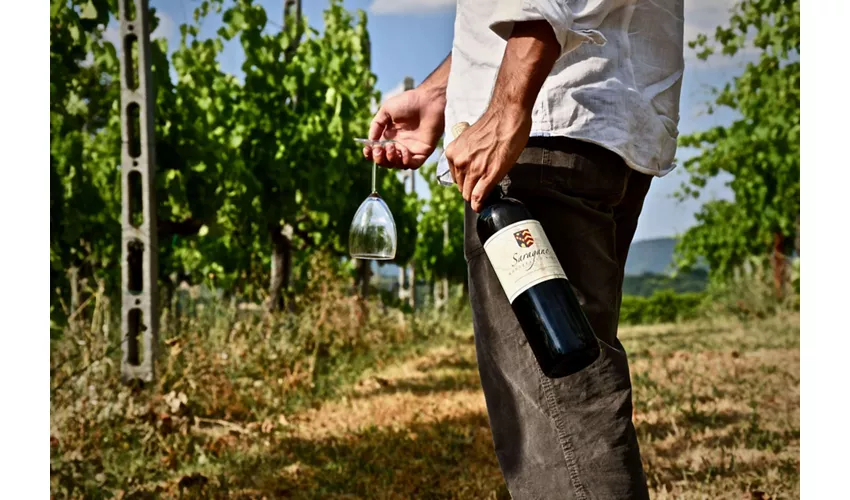 Agriturismo La Ghirlanda Wine Resort