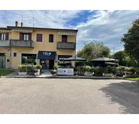 Olivò
