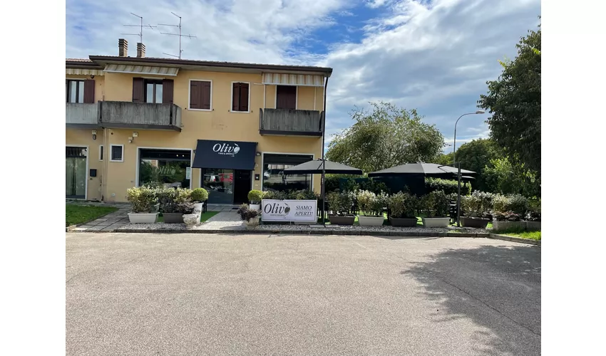 Olivò