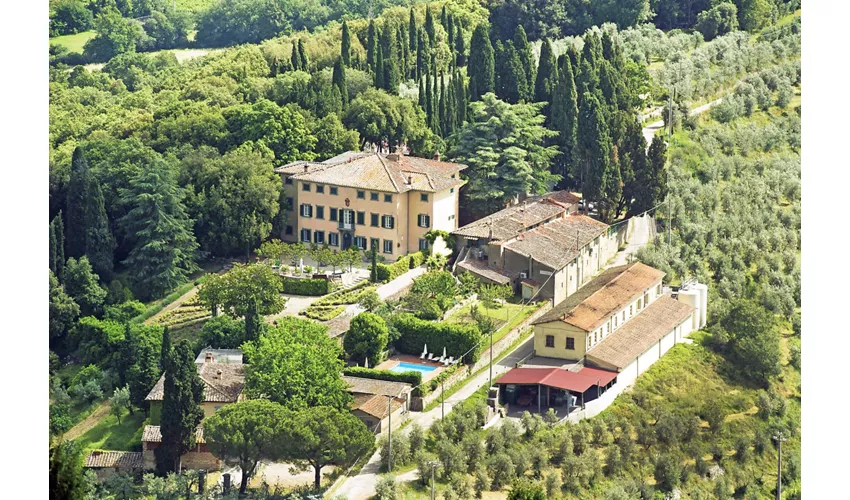 Petrolo