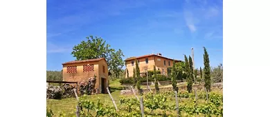 Petrolo