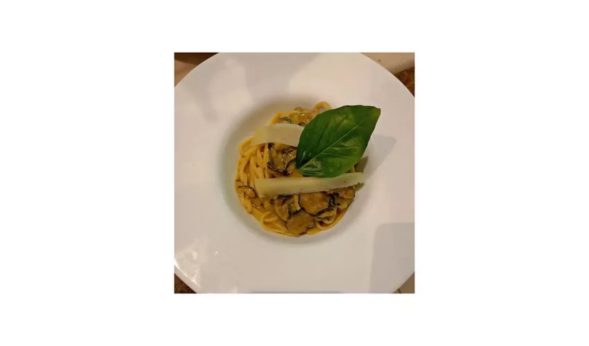 Gallo Matto