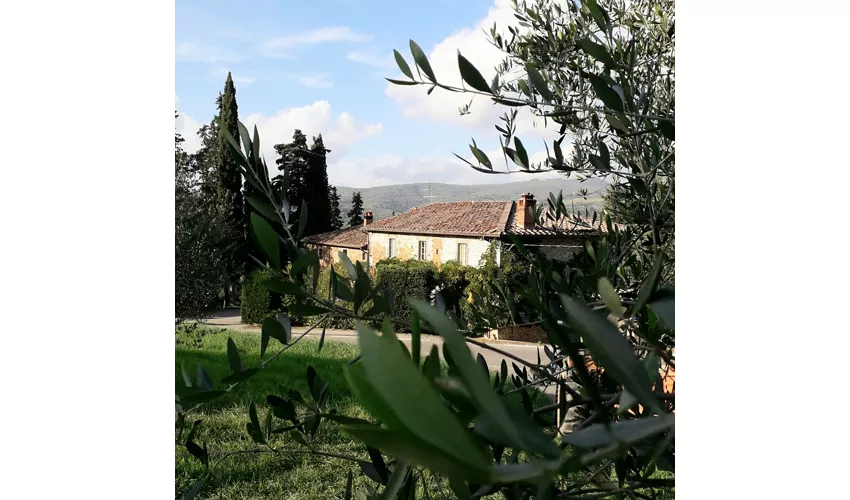 Agriturismo Le Bonatte