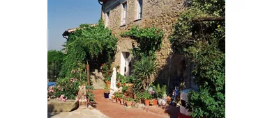 Agriturismo nelle colline sopra il Lago Trasimeno