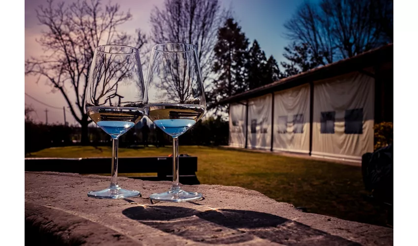 Le Vigne Morosina