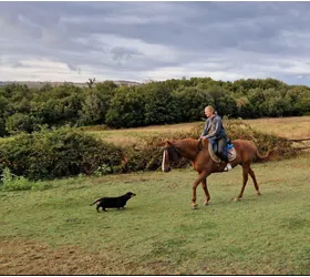 Agriturismo Orgiaglia