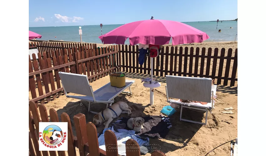 La Spiaggia di Duke