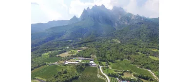 CANTINE MONCHIERI