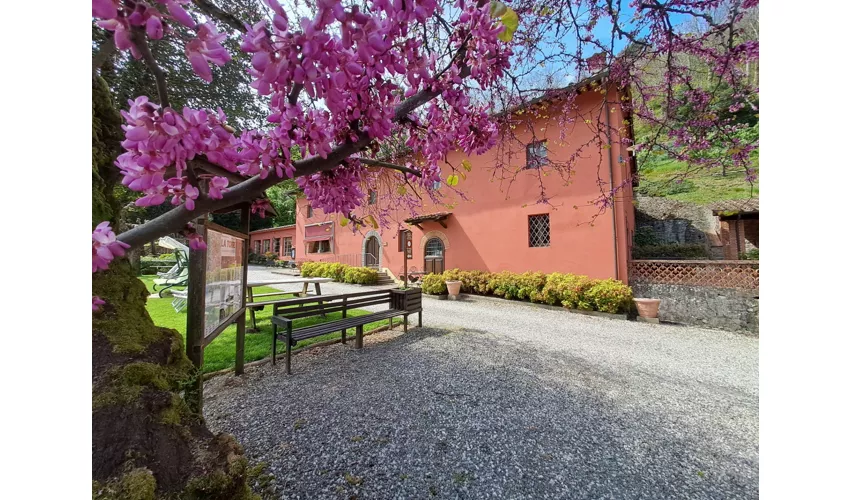Agriturismo La Torre