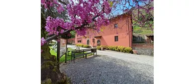 Agriturismo La Torre