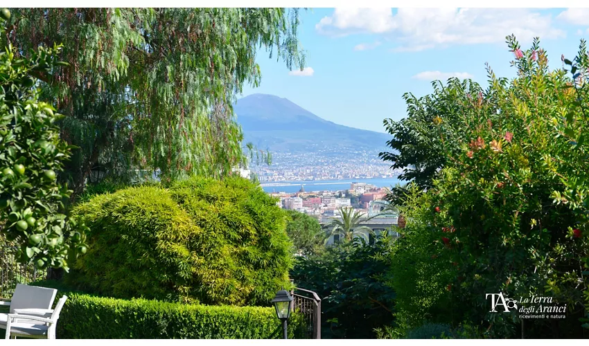 La Terra Degli Aranci