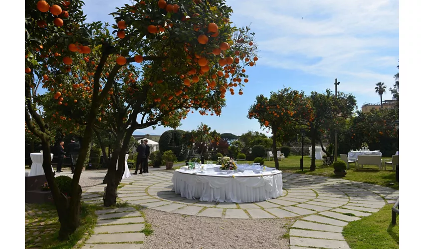 La Terra Degli Aranci