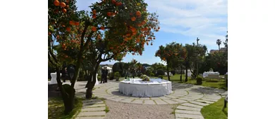 La Terra Degli Aranci