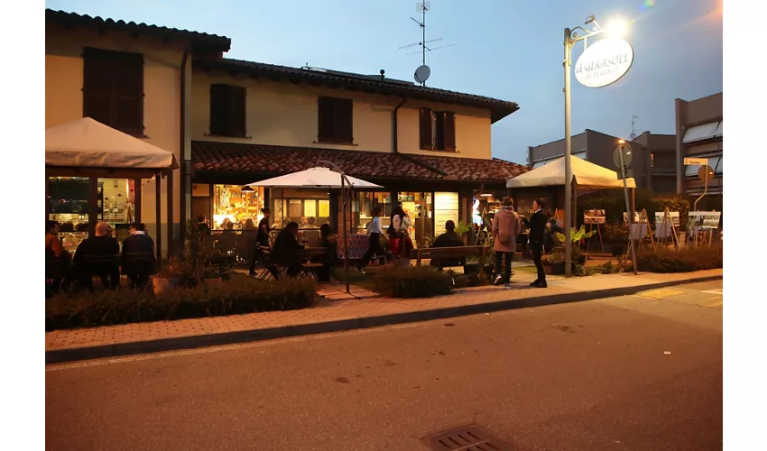 Il Girasole di Travacò