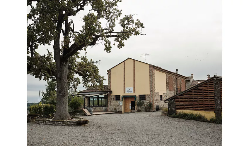 Il Poggiarello