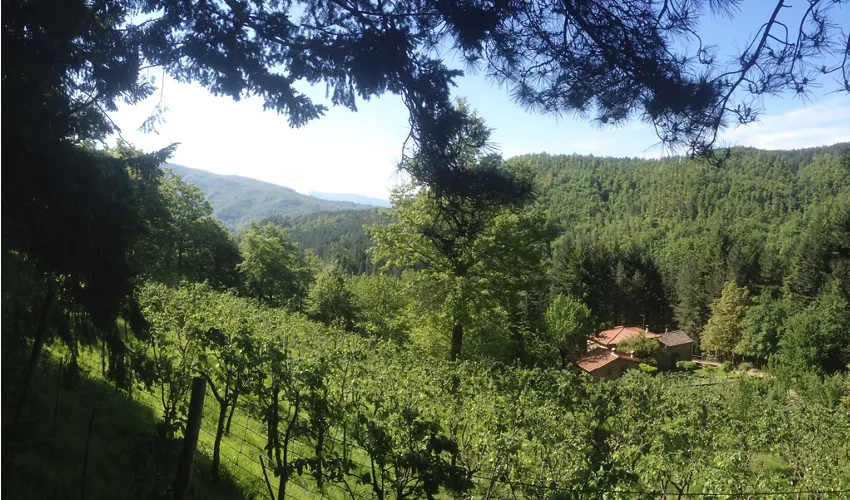 Agriturismo Casale Camalda