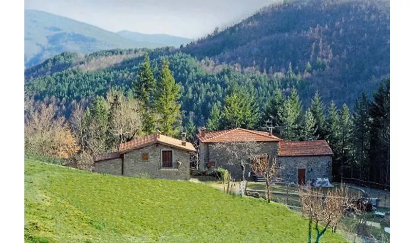 Agriturismo Casale Camalda