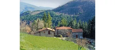 Agriturismo Casale Camalda