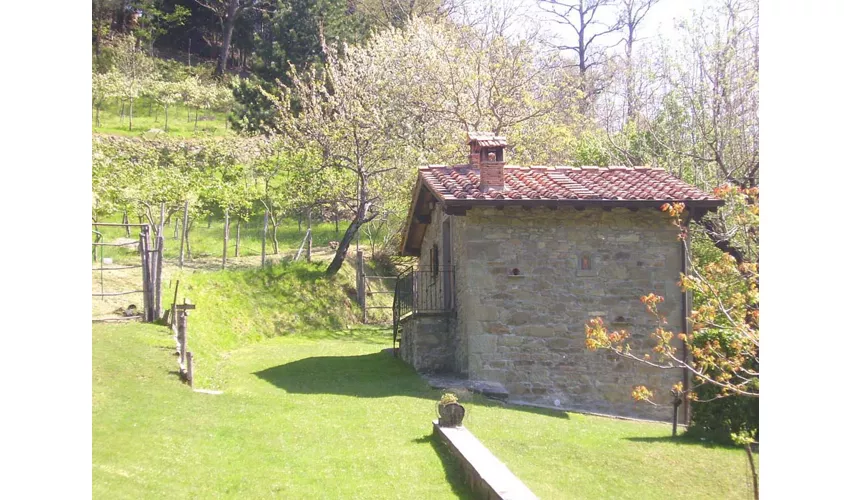 Agriturismo Casale Camalda