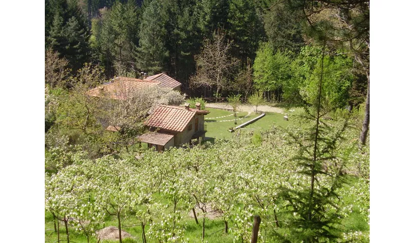 Agriturismo Casale Camalda
