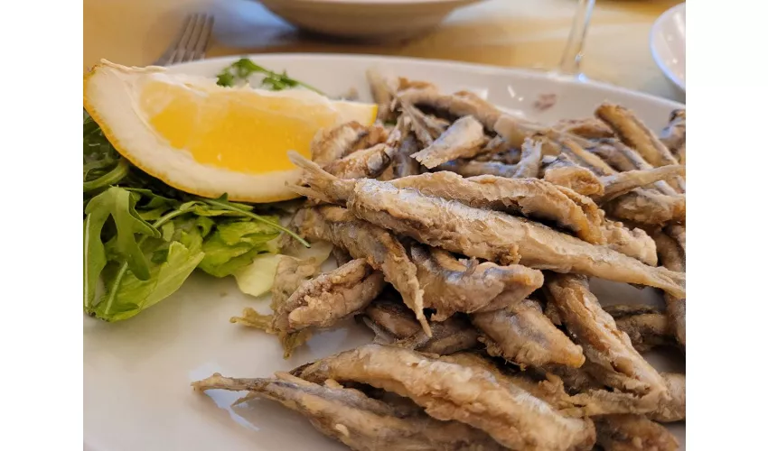 Taverna Luciana