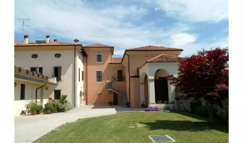 Grillo Iole