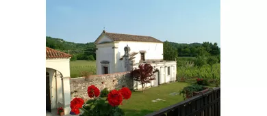 Grillo Iole