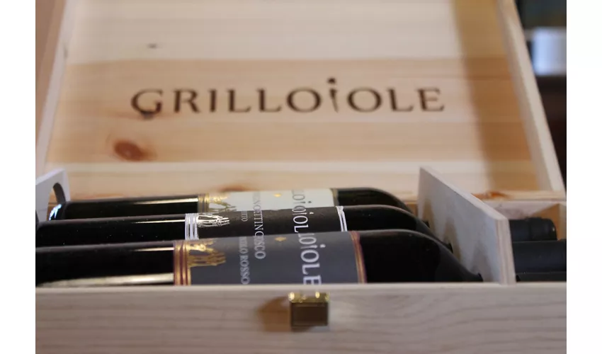 Grillo Iole