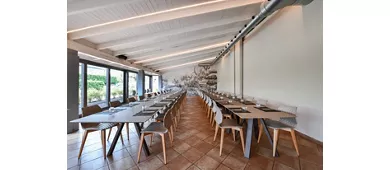 Monkey Restaurant