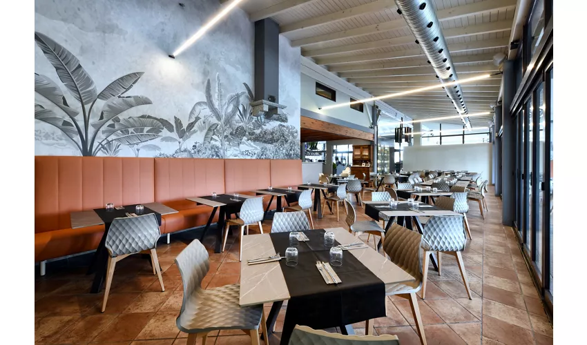 Monkey Restaurant