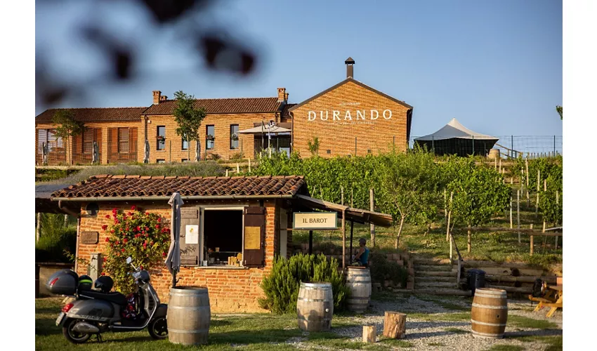 Agriturismo Terra d'origine dei Durando