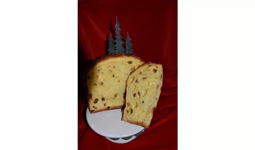 Pasticceria Lasagna